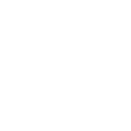 Mis XV años